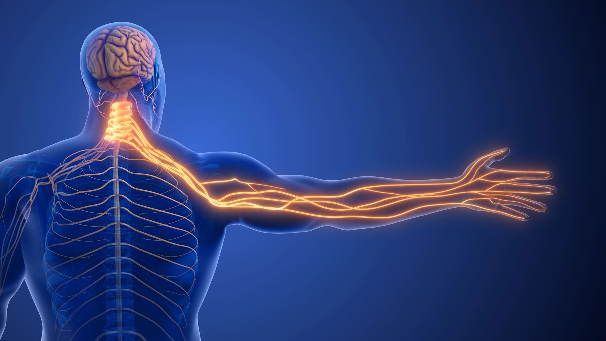 Spine pain management in Broward County